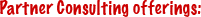 Partner Consulting offerings
